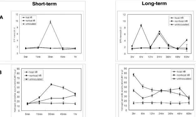 Fig. 2 Pattern of O 2 -  and H 2 O 2  generation during host and nonhost resistance. (A)