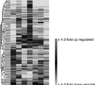 Figure  1.  Unsupervised  hierarchical  clustering  of  315  miRNA  expression  patterns  in non-small  cell  carcinomas and corresponding non-malignant lung tissues