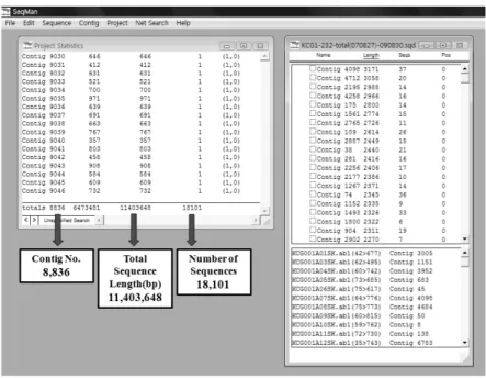 Fig. 1 Identification of unigenes using SeqMan program. To estimate the level of redundancy, the Ilpumbyeo germinating seed ESTs  were clustered with each other using the SeqManII program (DNASTAR), which considers two sequences being originated from the  