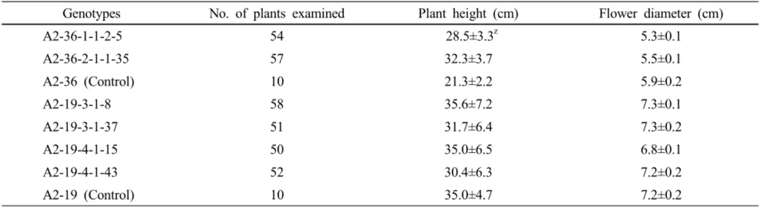 Table 3 Mean for 2 quantitative traits in SOD2-transgenic (T 2 ) petunia plants