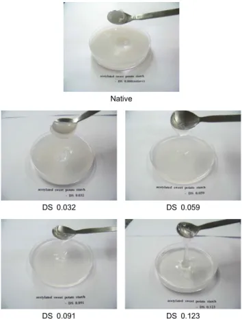 Fig. 1. Appearance of native and acetylated sweet potato starch gels. 천연 고구마전분의 투과도 값(8.50%)보다 높게 나타났으며 치환도가 증가할수록 투과도 값도 증가하는 경향을 나타내 었다(Table 3)