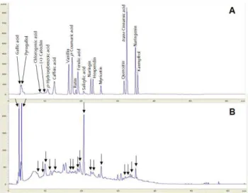 Fig. 2. The chromatograms of phenolic compounds found in standard mixture (A) and sorghum with pin mill (B).