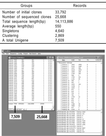 Table 1. Summary of assembly and clustering of cDNA clones  from immature seed of rice cv
