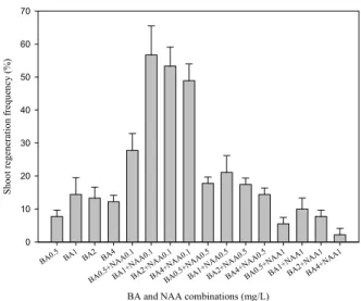 Figure 2. Frequency of shoot regeneration from 4-d-old cotyledon ex- ex-plants of B. juncea L