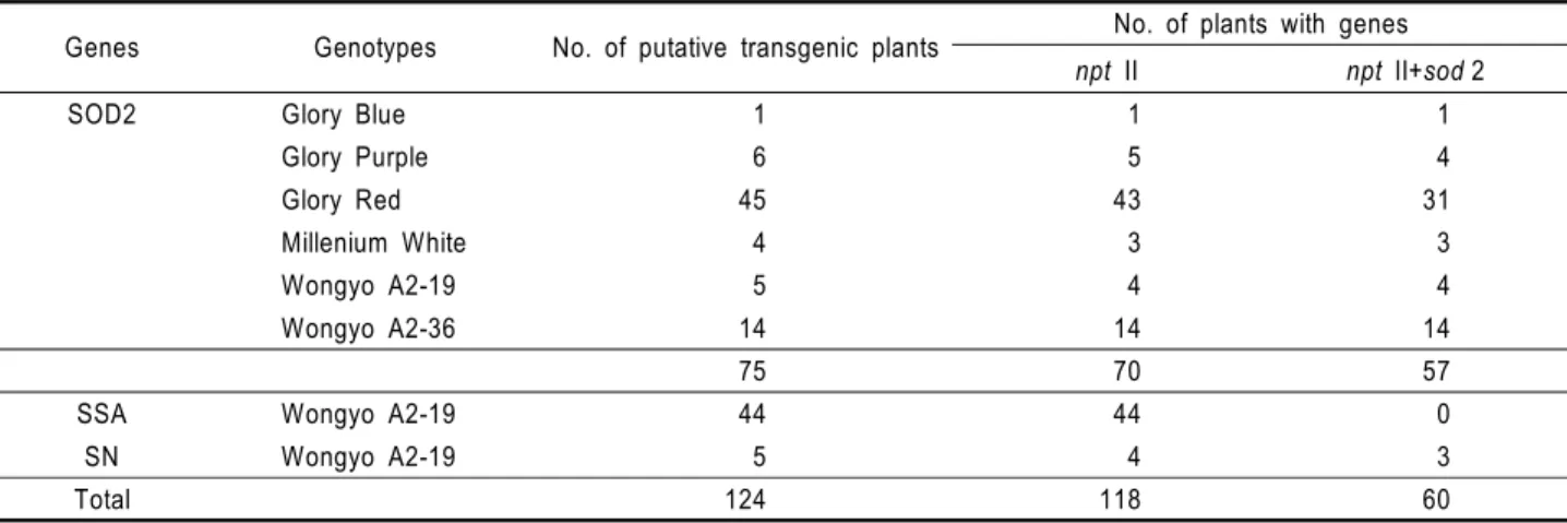 Table 3 PCR and Southern analyses of putative transgenic petunia plants survived on MS medium supplemented with kanamycin 100 mg･L -1 Genes Genotypes No