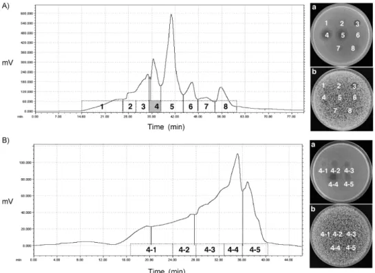 Fig. 2. Isolation of the antibac- antibac-terial compounds by recycling preparative HPLC