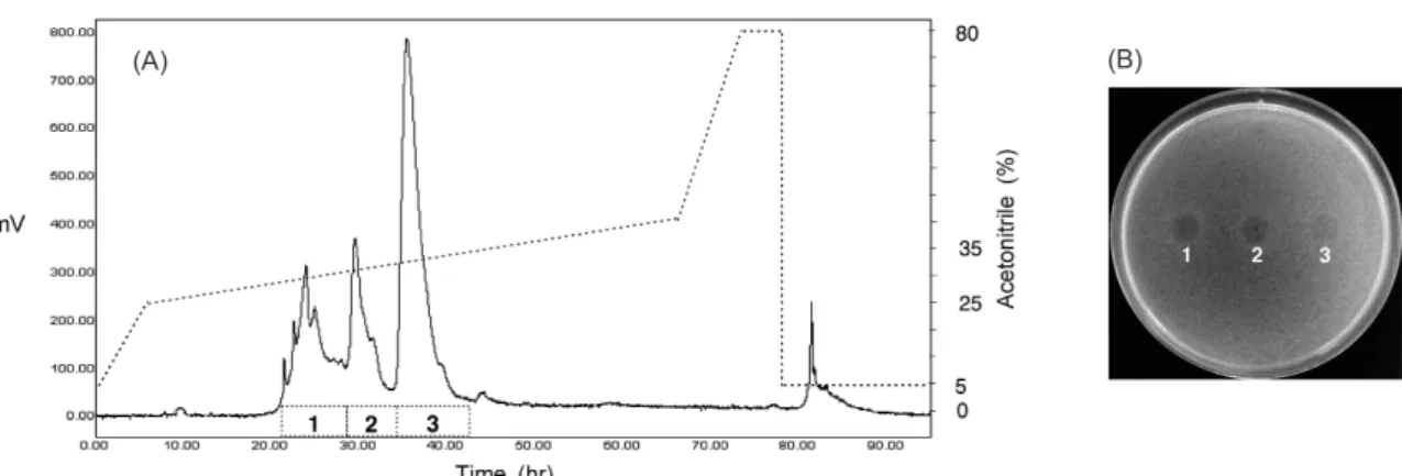Fig. 3. Isolation of the antibacterial compounds by reversed-phase analytical HPLC. A, Chromatogram of analytical HPLC.