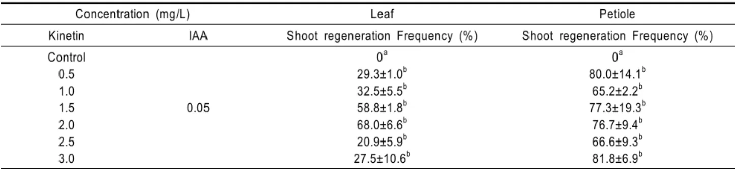 Table 2 The effect of kinetin treatment on adventitious shoot formation from leaf and petiole explants of P.koreana