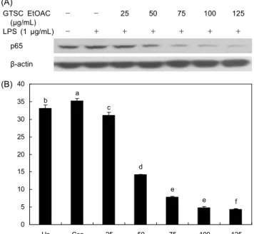 Fig. 10. Effects of the green tea seed coat EtOAC fraction on nuclear extract NF-κB transactivation RAW264.7  macro-phage cell
