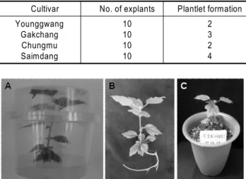 Table 3 Direct plant regeneration frequency from an axillary bud  of  Hibiscus syriacus L