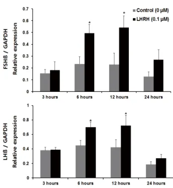 Fig. 4.   Relative abundance of fshβ and lhβ mRNA in Nile tilapia pituitary tissues in response to LHRH  over time