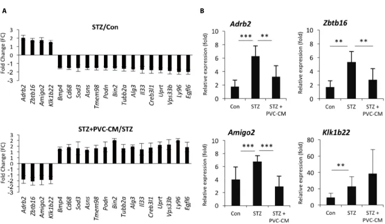 Fig. 2.   PVCs reverse upregulated expression of Amigo2, Adrb2, and Zbtb16 in the lung of diabetic mice