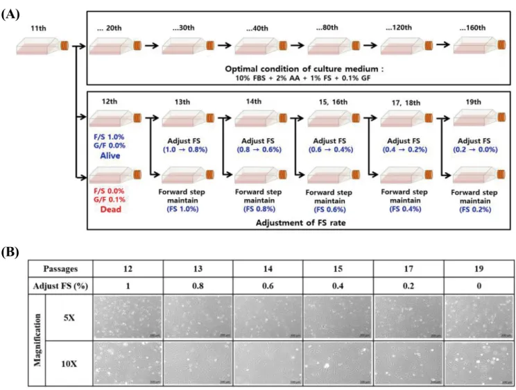 Fig. 2.   The optimal conditions for culture medium and adjustments of fish serum (FS) addition