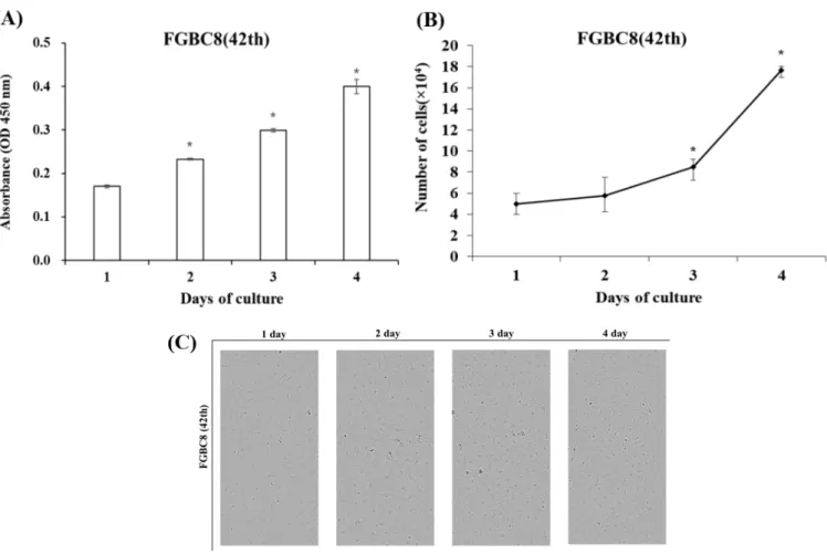 Fig. 3.   Growth curve of the FGBC8 cells. Cell proliferation was observed using the growth curve from days 1–4
