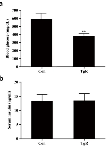 Figure 1.  Park et al. (2020)