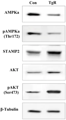 Figure 3.  Park et al. (2020)