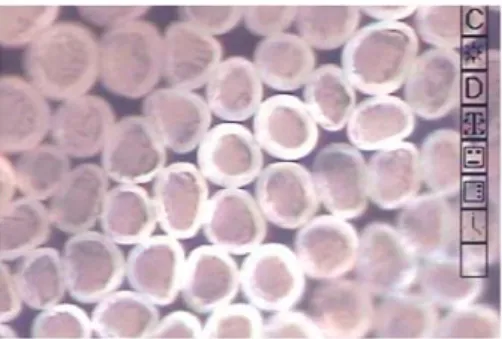 Figure 41. 코어부에 PCM/polymer alloy 된 PA6 섬유를 사용한 온도조절섬유 .