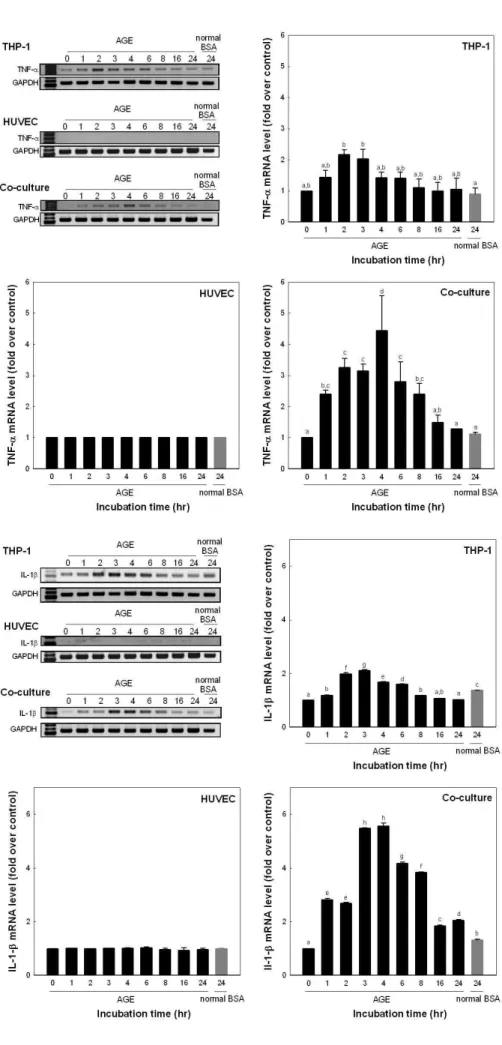 Fig. 2. mRNA expression of TNF-α.