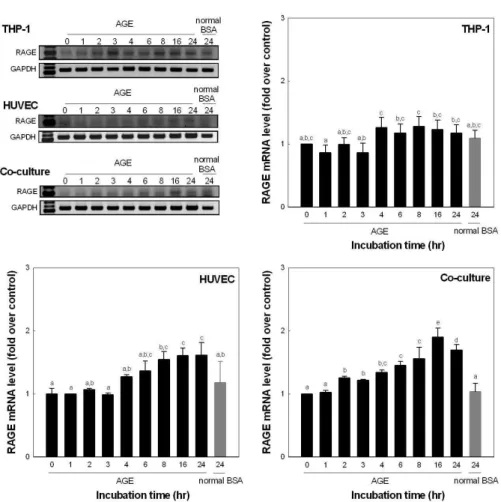 Fig. 6. mRNA expression of RAGE.