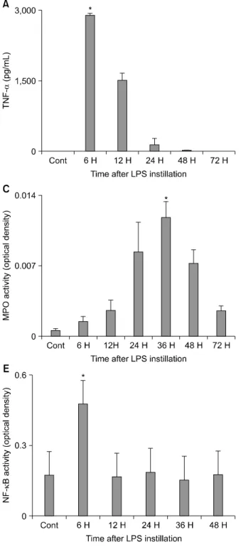 Figure  1.  The  time  course  of  acute  lung  injury  (ALI)  para- para-meters. The concentrations of tumor necrosis factor (TNF)-α (A) and interleukin (IL)-6 (B) in bronchoalveolar lavage fluid (BALF)  and  nuclear  factor (NF)-κB activity  (E)  in  lun