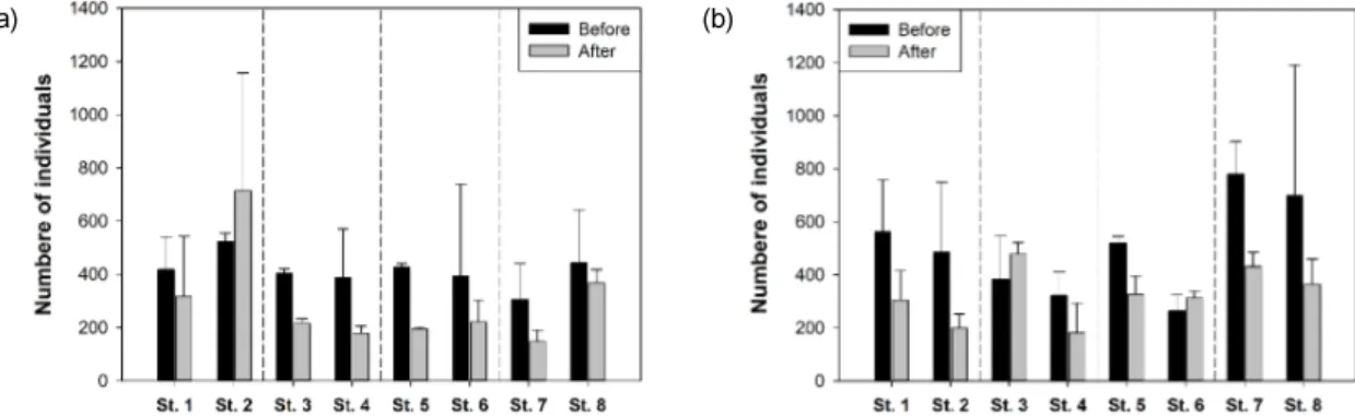 Fig.  5.  Individuals  before  and  after  the  rainy  season  according  to  the  type  of  erosion  control  dam