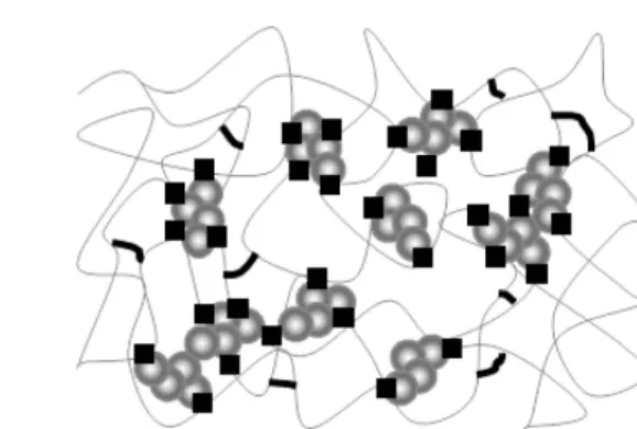 Figure  2.   Suggested  mechanisms  of  vulcanization  and  silica–rubber  coupling.