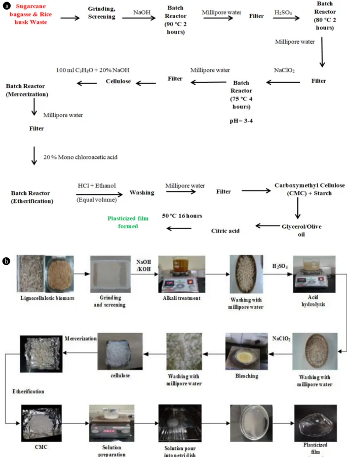 Fig. 2.  (a)  Preparation  of  bioploymer  film  from  lab  made  CMC,  (b)  Preparation  procedure  of  bioploymer  film  from  lab  made  CMC