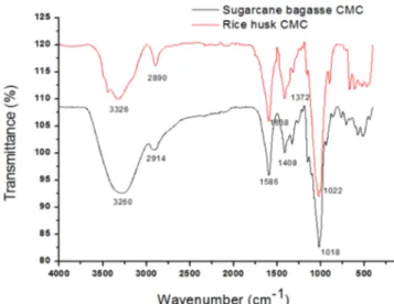 Fig. 4.  FTIR spectra of CMC synthesized from Rice husk and Sugarcane  bagasse.