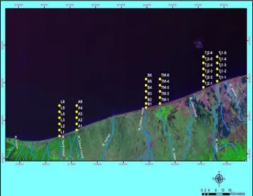 Fig. 1.  Field data sampling stations.