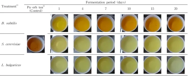 Table 5. Photographs of microbial fermented teas during fermentation period