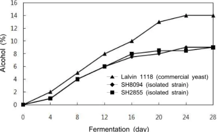 Fig. 4. Changes of alcohol concentration in schizandra wines by using various yeasts during fermentation at 28 o C.