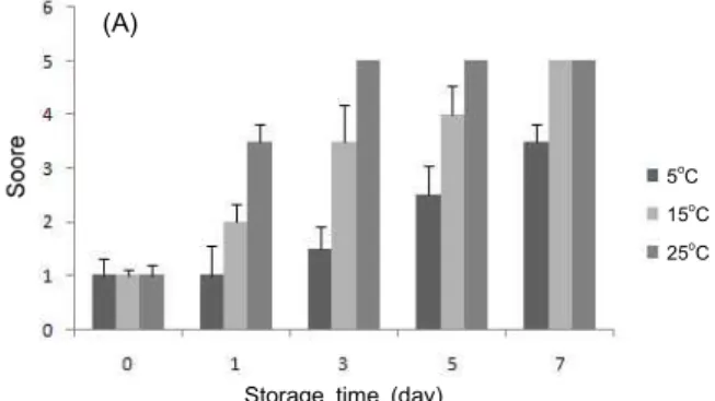 Fig. 3. Changes of off flavor (A), browning (B), and crispiness (C) for the vacuum-packaged lettuce during storage at the  tem-peratures of 5, 15, and 25 o C