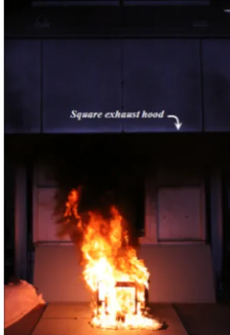 Figure 2. ISO 9705 Room corner test of cinema complex.