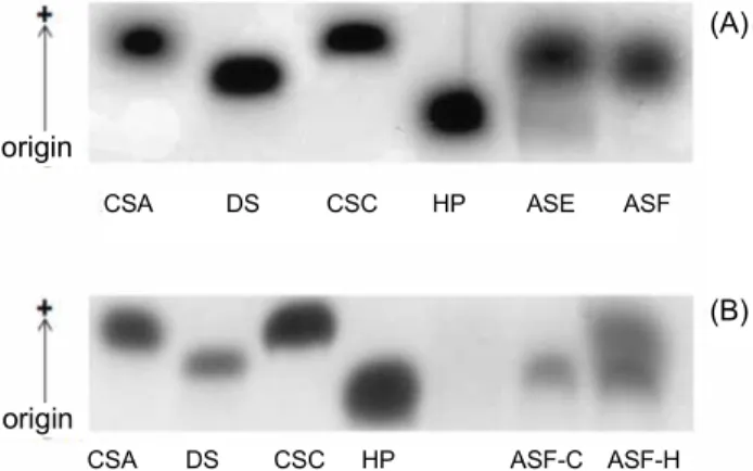 Table 3. Effect of Brix and ethanol concentration on the pre- pre-cipitation of polysaccharide extract from sea hare muscle