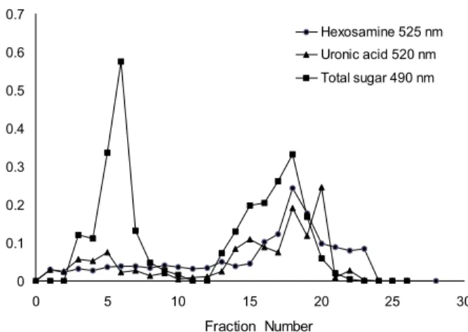 Fig. 1. Chromatogram of polysaccharide from sea hare mus- mus-cle on DEAE-Sepharose fast flow