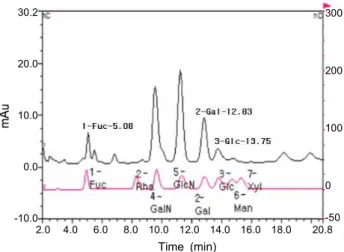 Table 1. Hexuronic acid, hexosamine and disaccharide con- con-tents in polysaccharide extract (ASE) and purified 