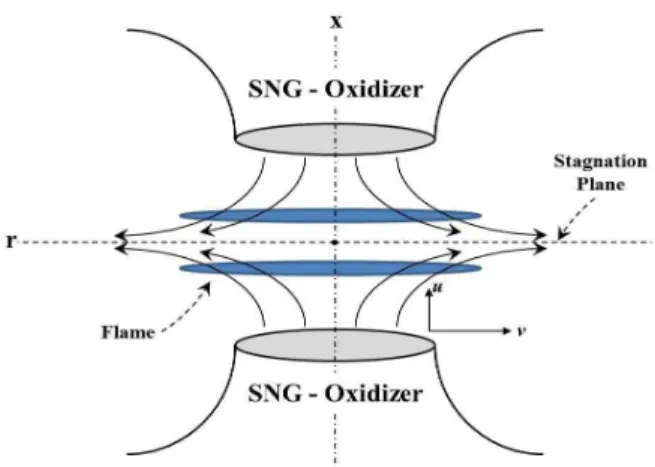 Fig. 1 Schematic diagram of counterflow burner and flow systems.
