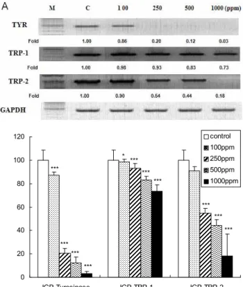 Fig. 5. Effect of Sorbus commixta HEDL cortex water ex- ex-tract on tyrosinase activity in B16BL6 cells