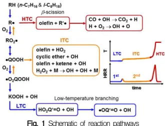Fig. 1 Schematic of reaction pathwaysIn this study, the chemical aspects of