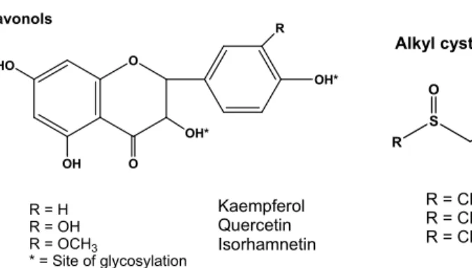 Fig. 2. Generation of the major flavour groups in onion (ref. 6).