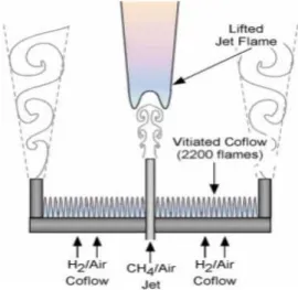 Fig. 1 Burner Schematic of a lifted CH4/air jet flame in vitiated coflow.[1]