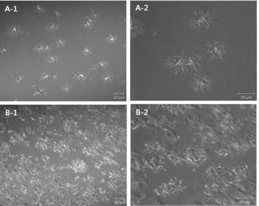 Table 3. Polymorphic form and short spacings (Å) of fat from commercial spread and low-trans spread fat (LTSF) by x-ray diffraction Short spacings (Å) Fat from commercialspread Polymorphic
