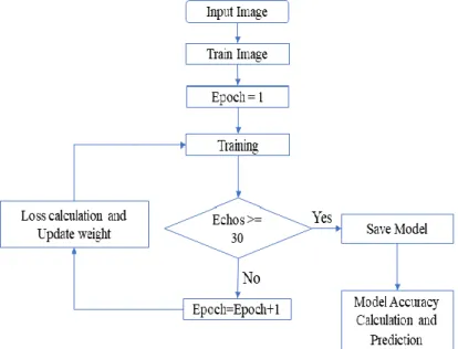 Figure 7. Learning program for the designed learning model 