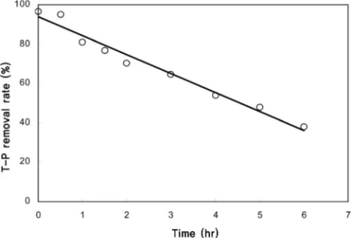 Fig.  10.  Variation  of  T-P  removal  rate  in  terms  of  lapse  time  without  alum  dose  under  scum  recycle.