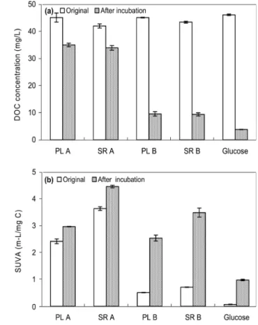 Fig.  1.  Changes  in  (a)  DOC  concentrations  and  (b)  SUVA  values  for  humic  substances  (PL  A  and  SR  A),  humic-glucose  mixtures  (PL  B  and  SR  B),  and  glucose  samples  by  14-  day  microbial  incubation.