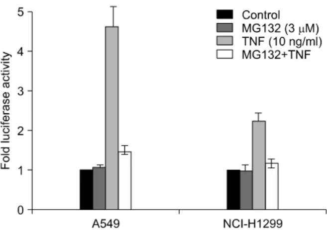 Figure 1. MG132 inhibits TNF-α induced NF-κB depend- depend-ent  transcriptional  activation  in  both  A549  and  NCI-  H1299 cells