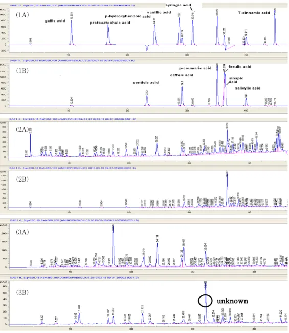 Fig. 1. Chromatogram of phenolic acid on standard phenolic acids, free type phenolic acid of non-fermented and fermented ginseng leaf