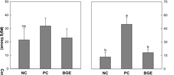 Fig. 5. Concentrations of TNF-α and IL-6 on challenged tissue of animal. Values are mean±SD for 5 number/group