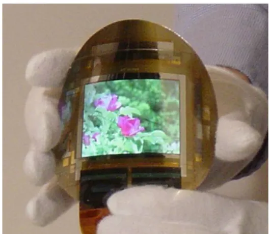 Figure 1 shows a typical photograph of our OTFT- OTFT-OLED display fabricated on a flexible substrate