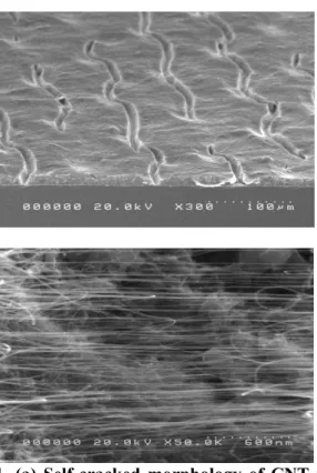 Fig. 1. (a) Self-cracked morphology of CNT paste  and (b) CNTs hanging on a cliff. 